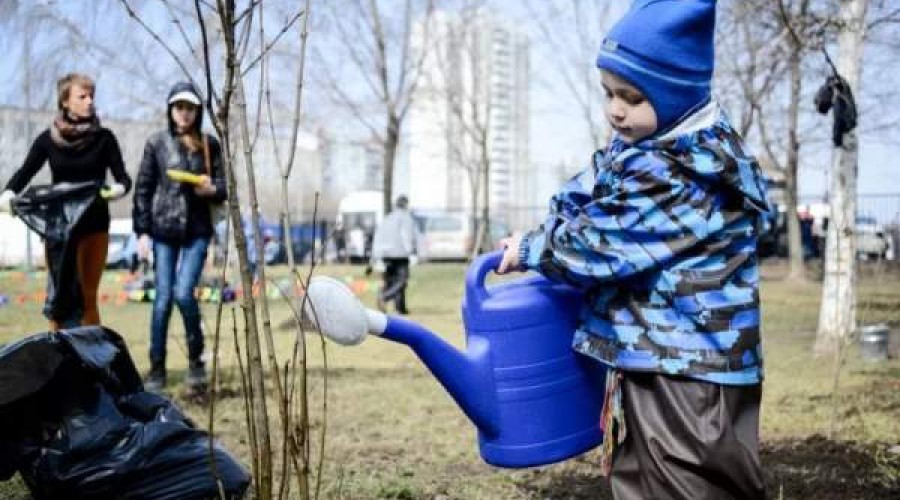 А хочешь знать, почему на улицах грязно, ямы на дорогах и кругом бардак?